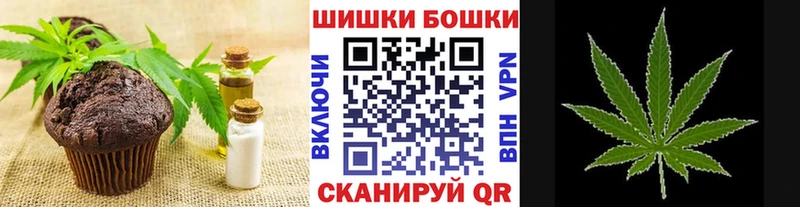 магазин продажи наркотиков  мега сайт  Canna-Cookies марихуана  Электрогорск 