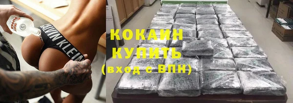 гашик Аркадак