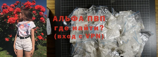 гашик Аркадак