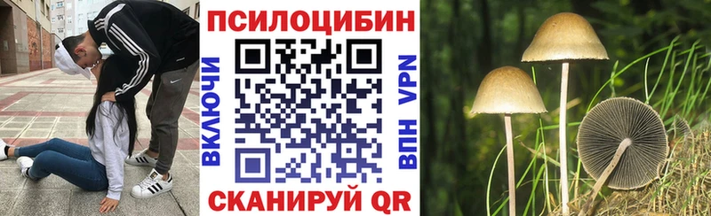 Псилоцибиновые грибы Cubensis  Электрогорск 