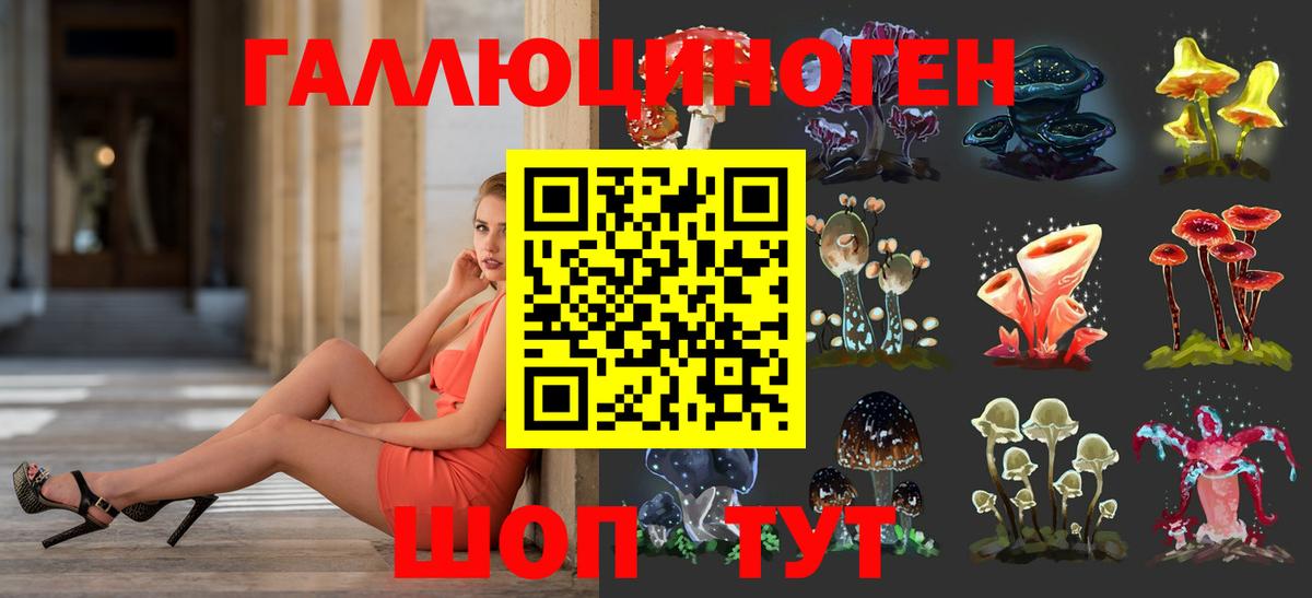 Псилоцибиновые грибы Cubensis Электрогорск
