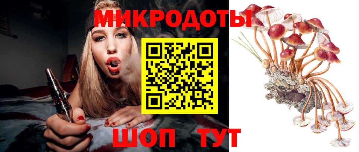 Электрогорск  Галлюциногенные грибы Magic Shrooms  Вход с VPN 